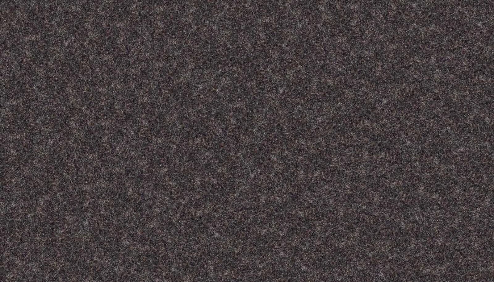 Indian Mahogany