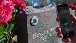 Memory Coint Sunburst