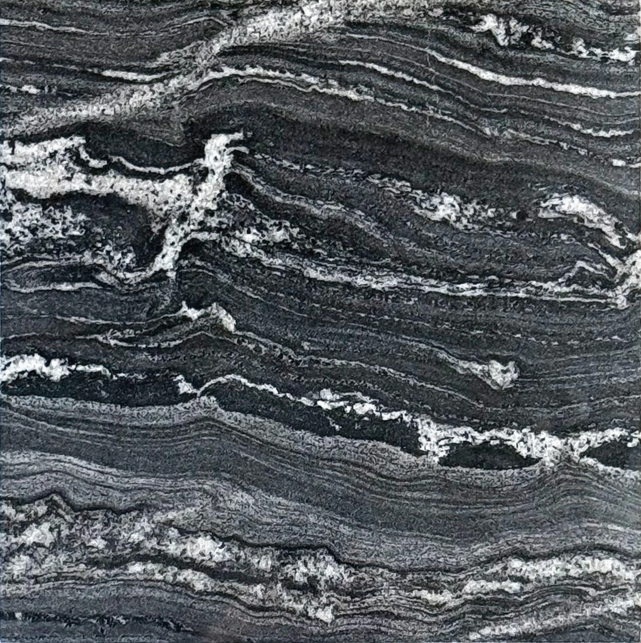 Forest Black Sq