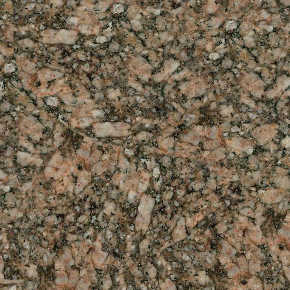 Minnesota Russet Sq
