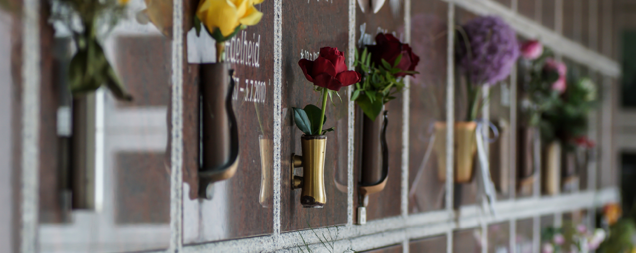 Blog Header